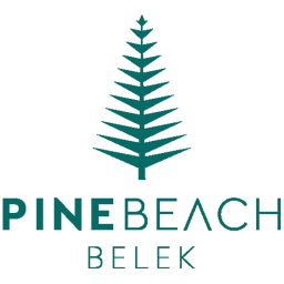 Pine Beach 图标